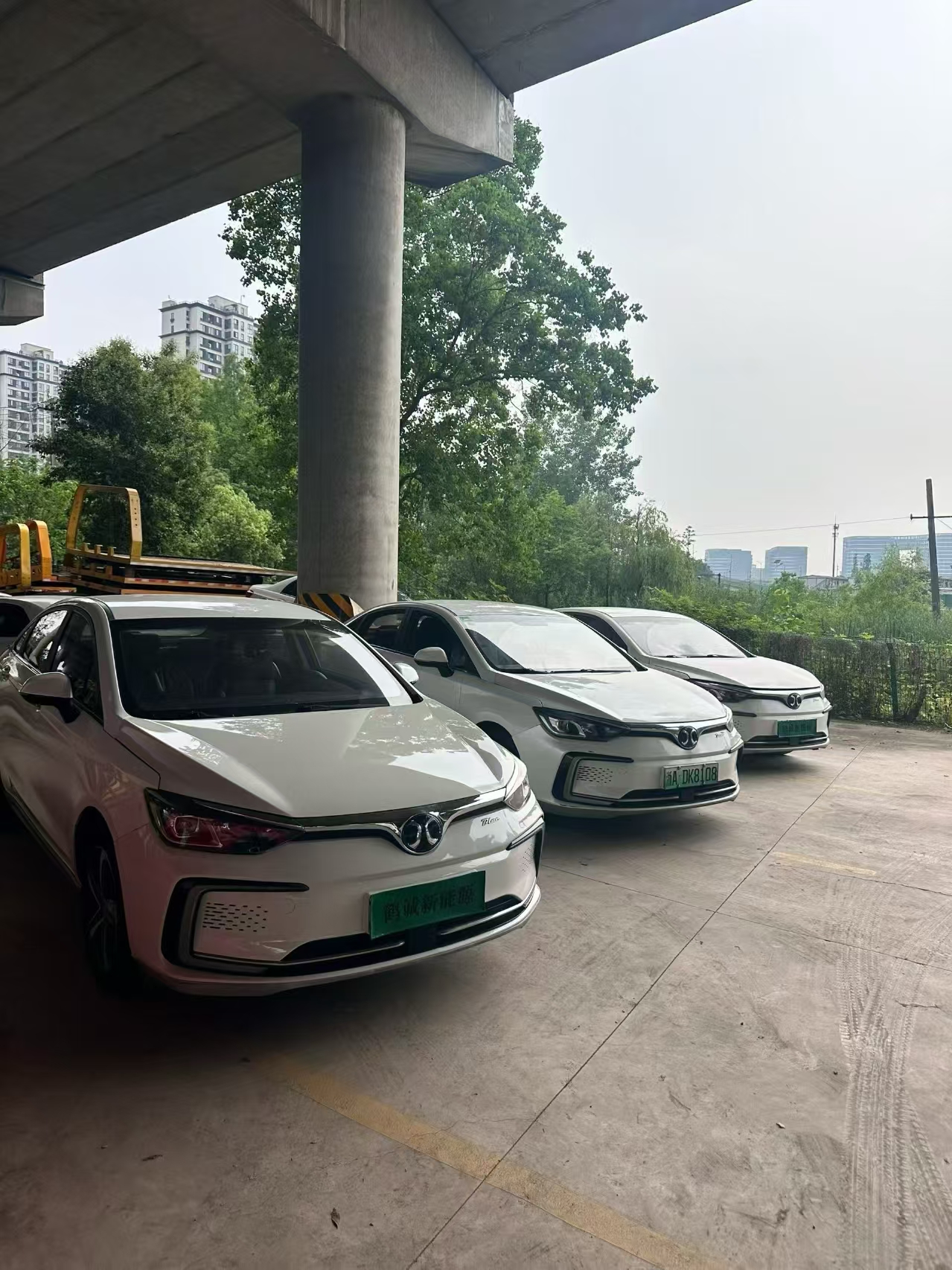 Beijing 2019 car image #6