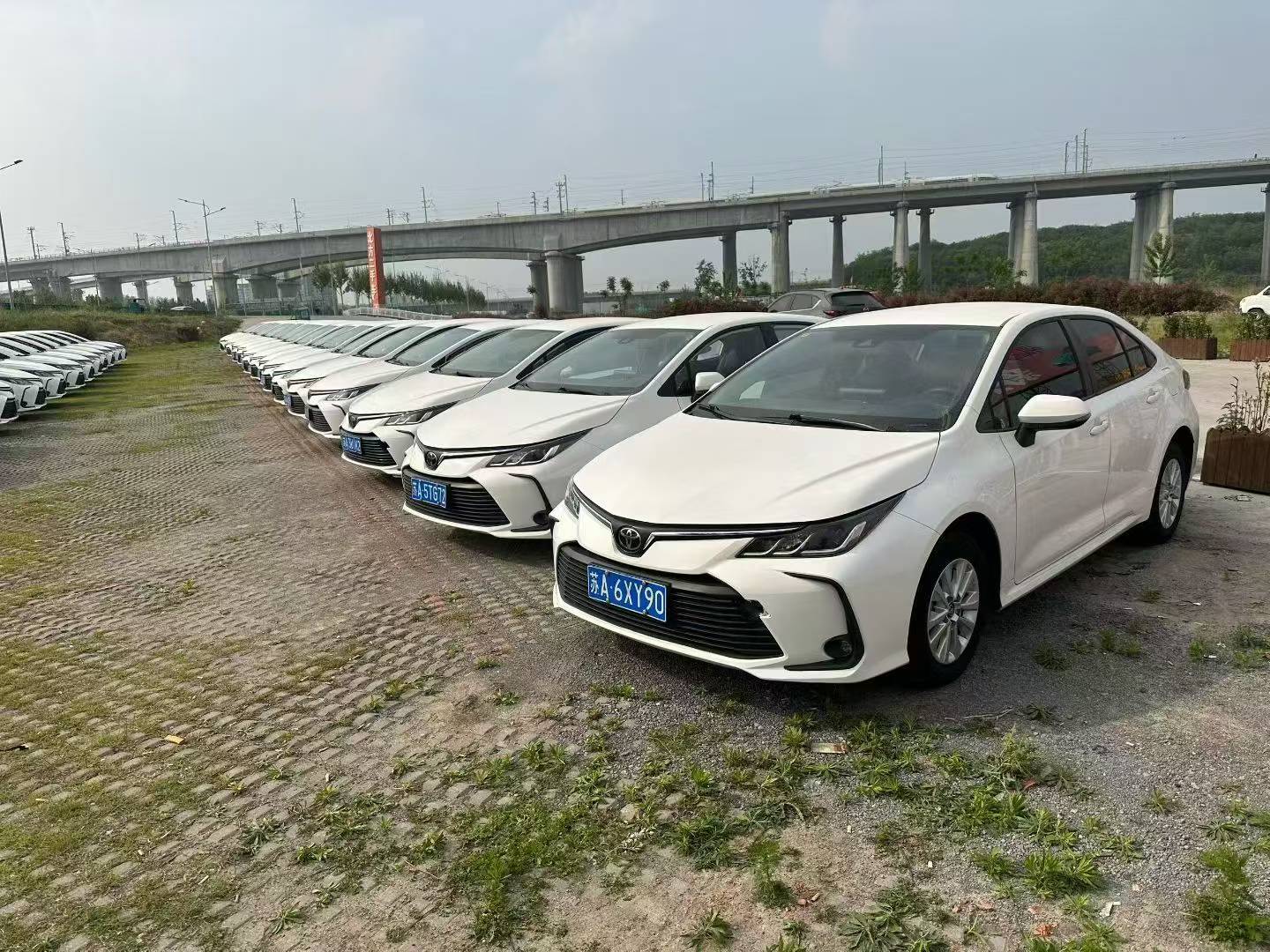 Toyota Corolla 2023 car image #6