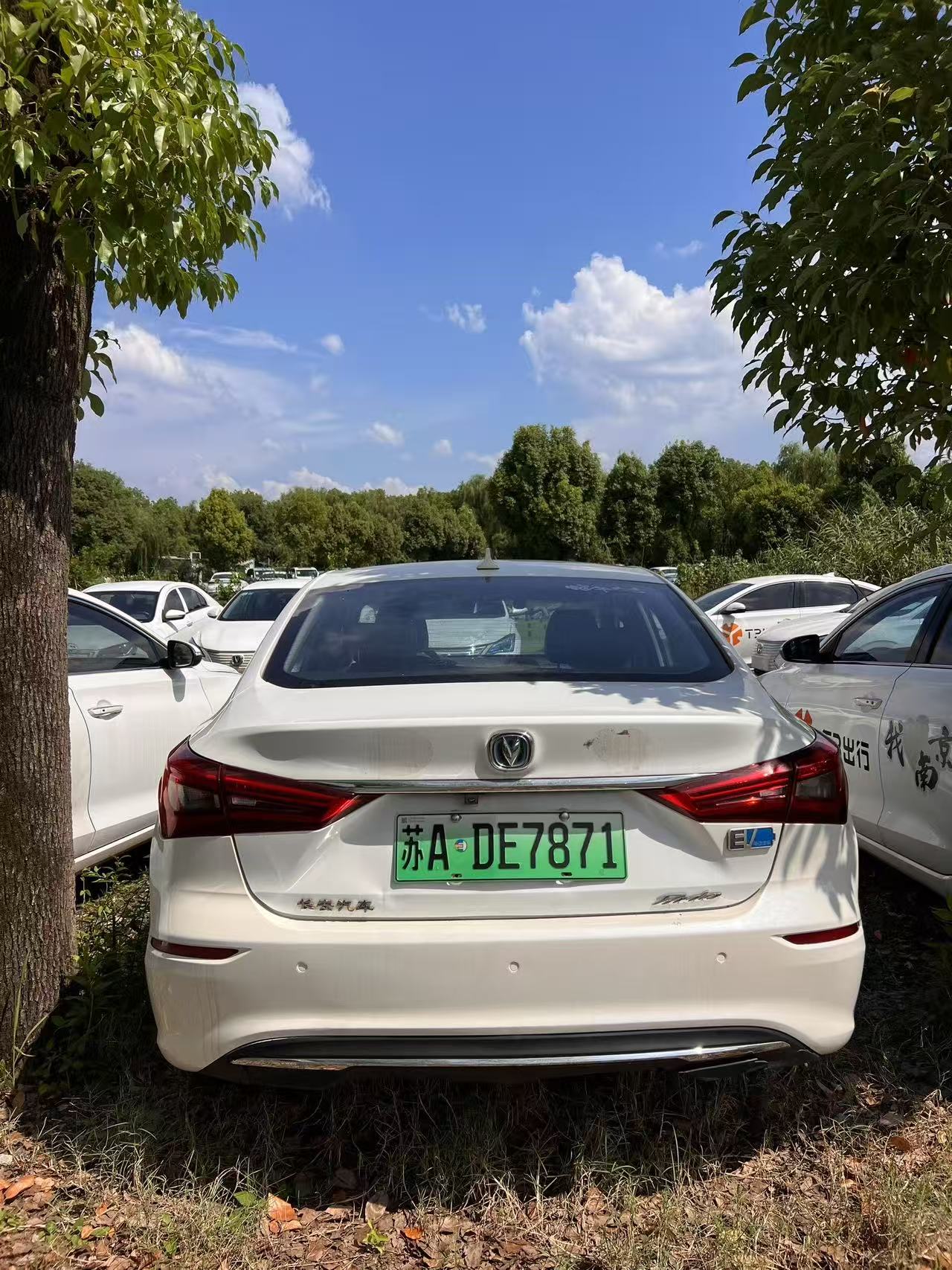 Changan Eado EV 2020 car image #5