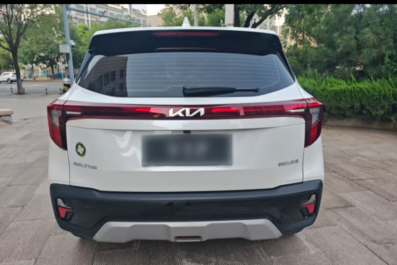 Kia Seltos 2024 car image #6