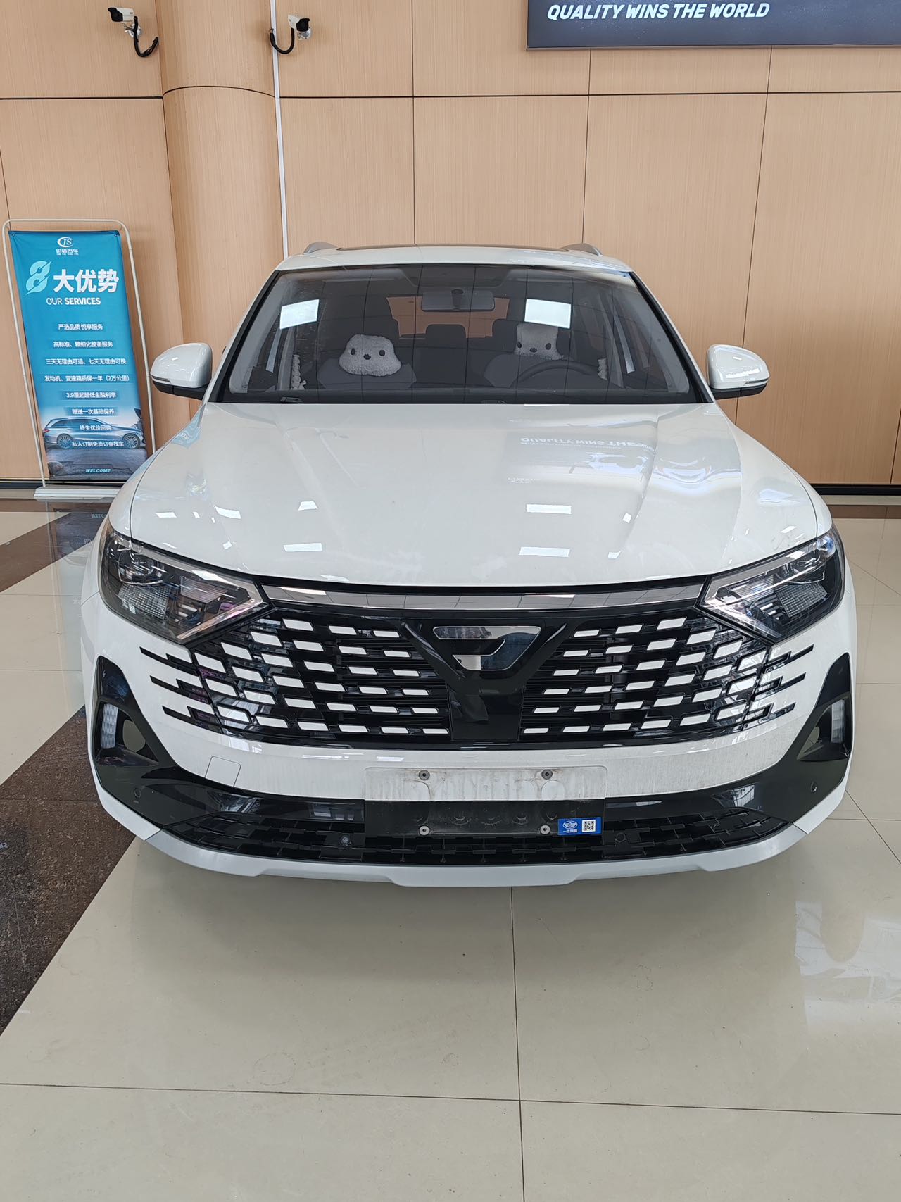 Jetta VS7 2025 汽车图片 