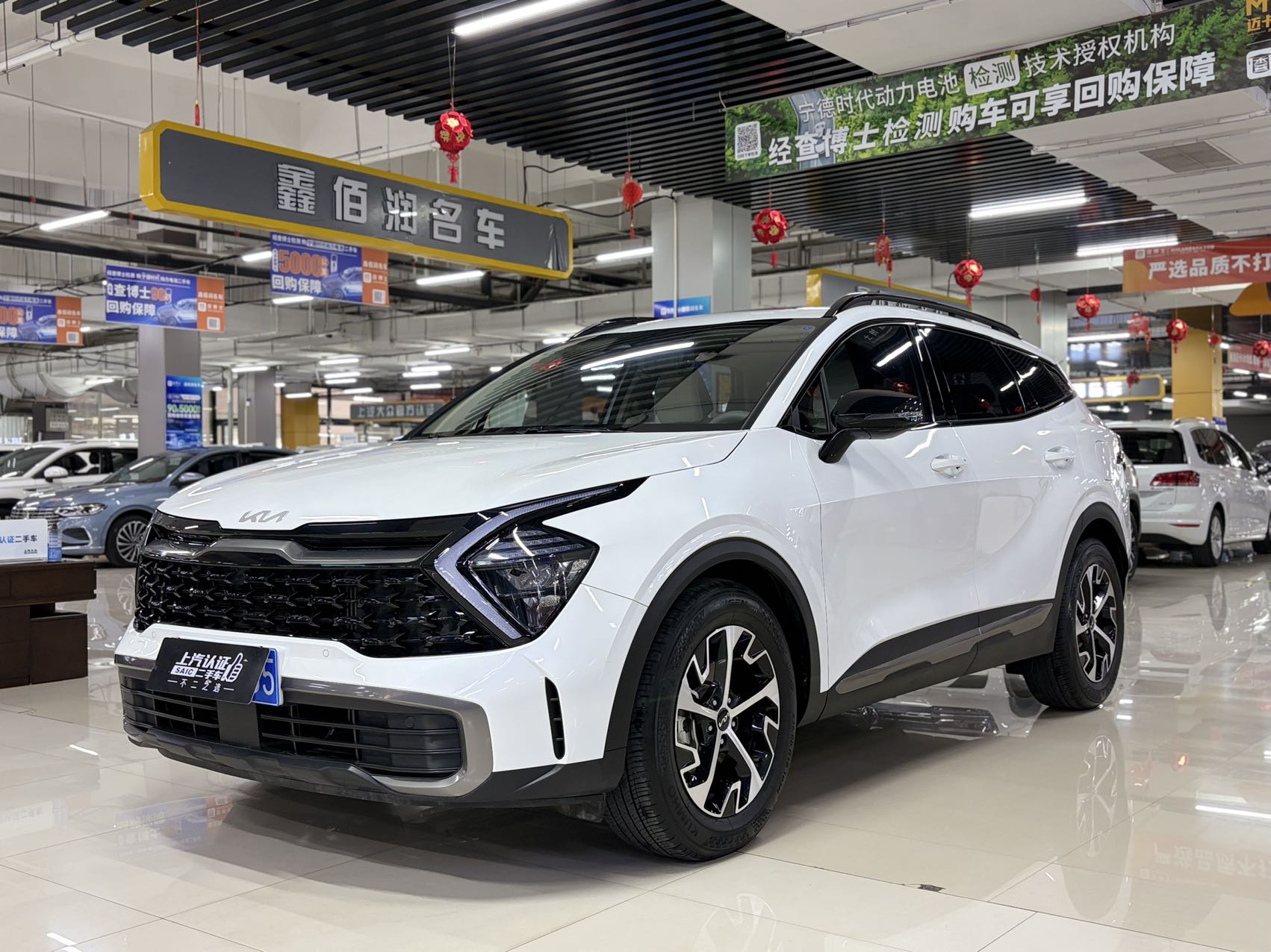Kia Sportage 2024 car image 