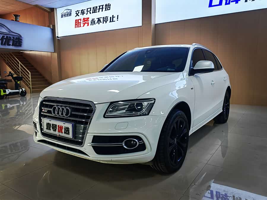 Audi SQ5 2013 imagen de coche #2