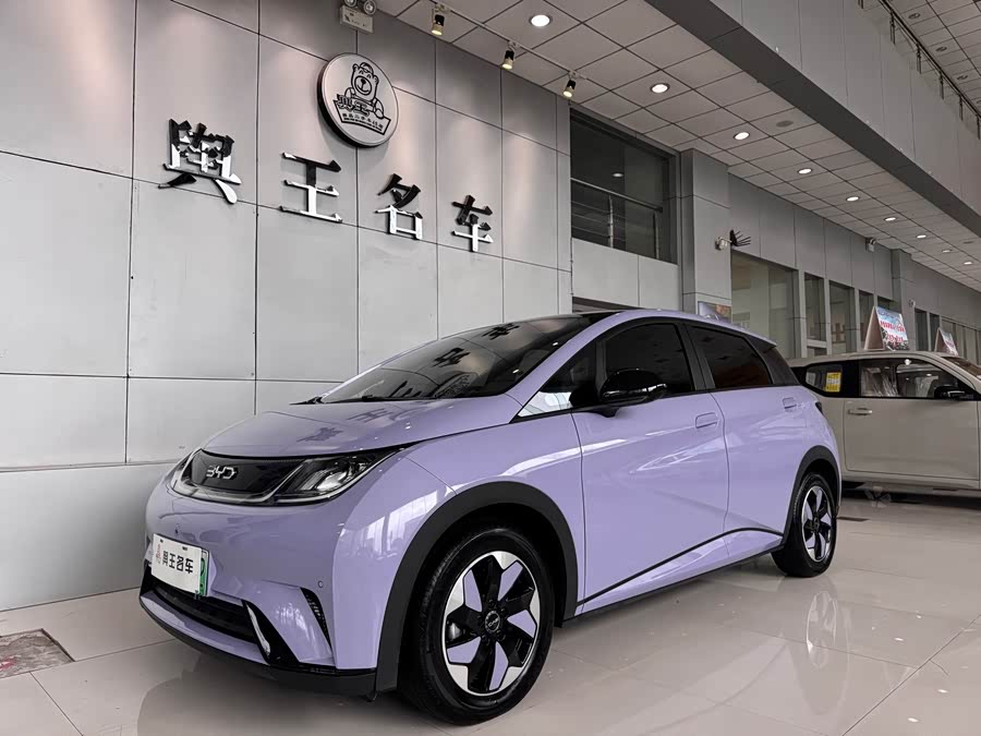 BYD Dolphin 2024 صورة سيارة #2