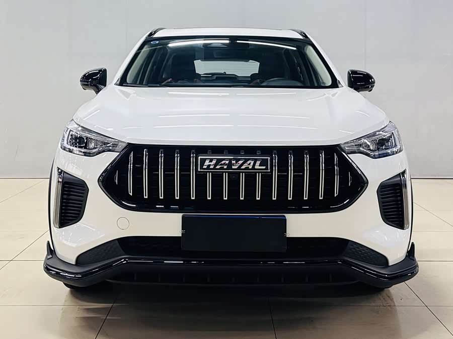 Haval Rabbit 2024 car image #2