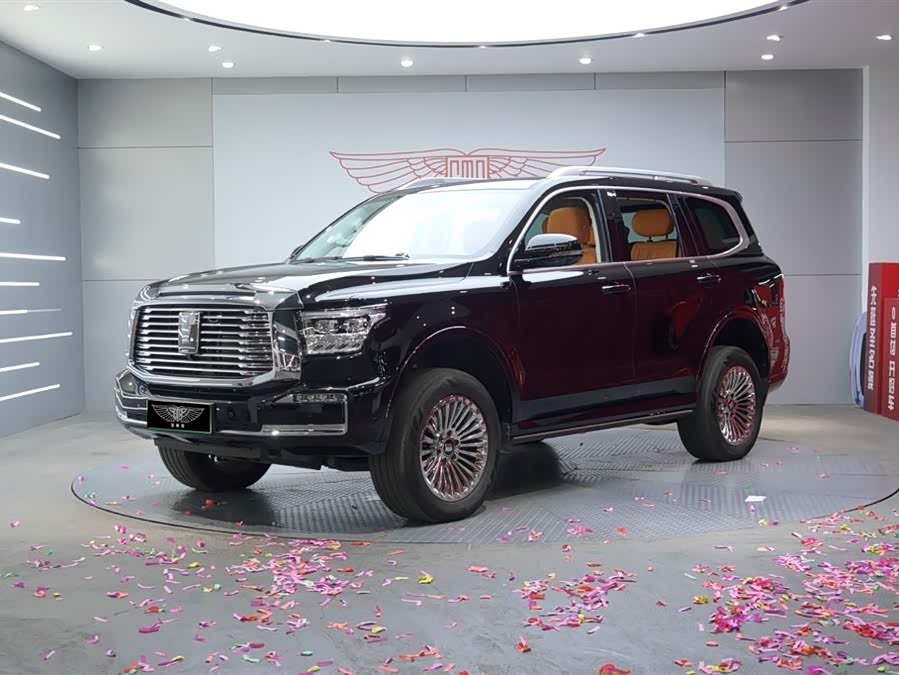 Tank 500 New Energy 2023 car image #2