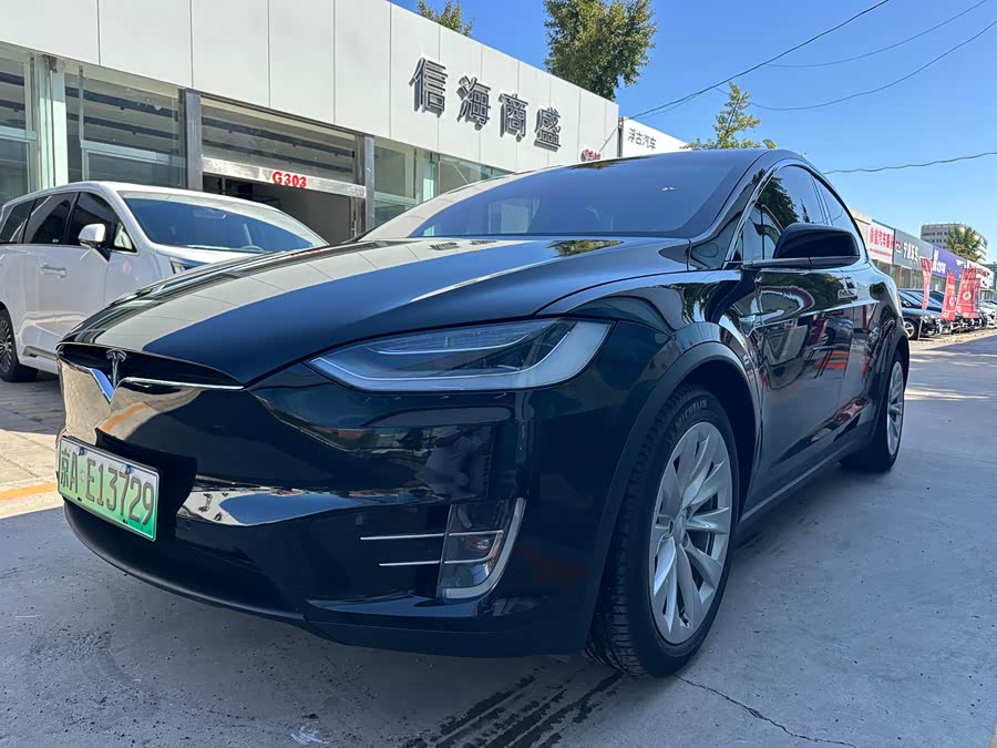 特斯拉 Model X 2019 汽车图片 #2