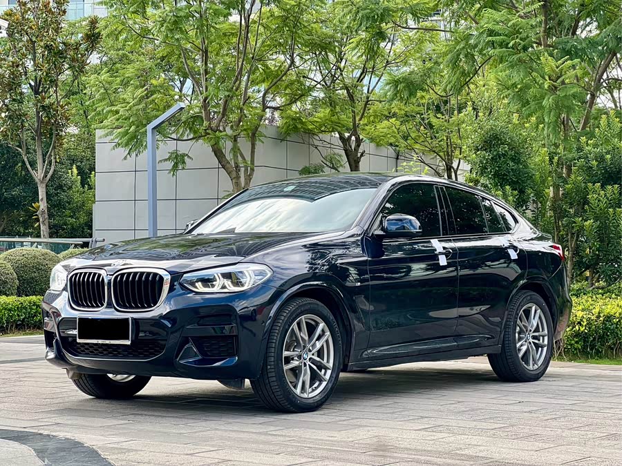 BMW X4 2020 car image #2