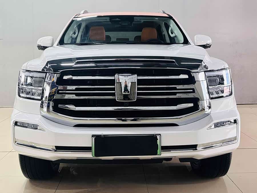 Tank 500 New Energy 2024 car image #2