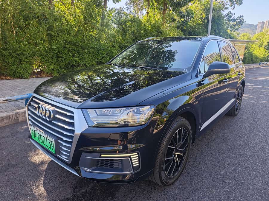 Audi Q7 New Energy 2019 car image #2