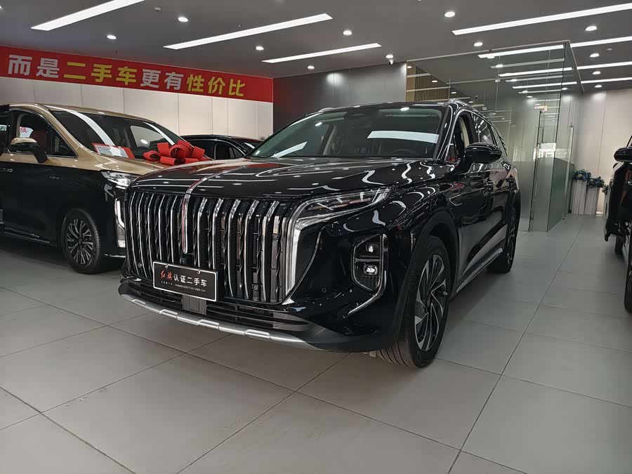 HongQi HS7 PHEV 2024 car image #2