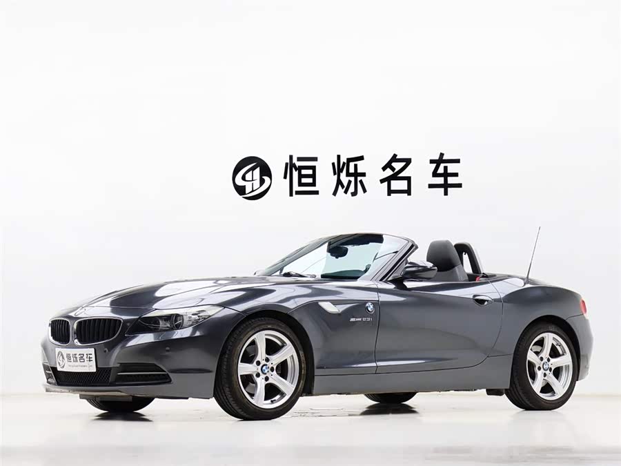 BMW Z4 2010 car image #2