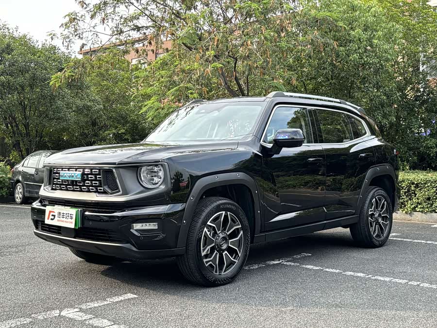 Haval X Dog 2 New Energy 2024 car image #2