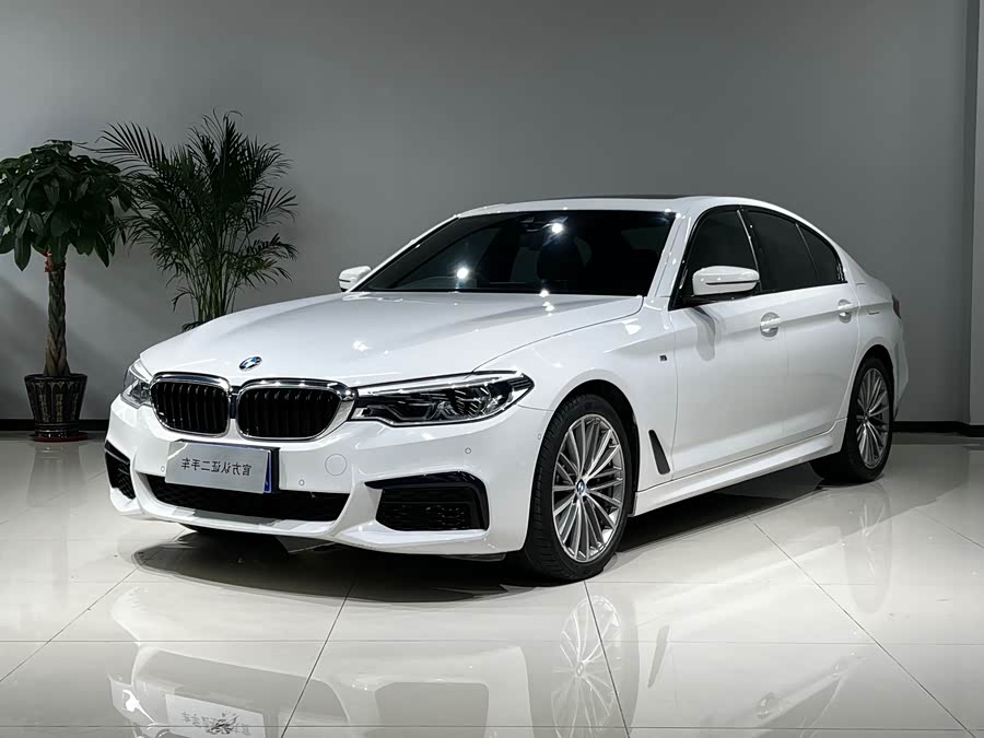 BMW 5 Series (Imported) 2019 #2 BMW 5 Series (Imported) 2019 car image #2