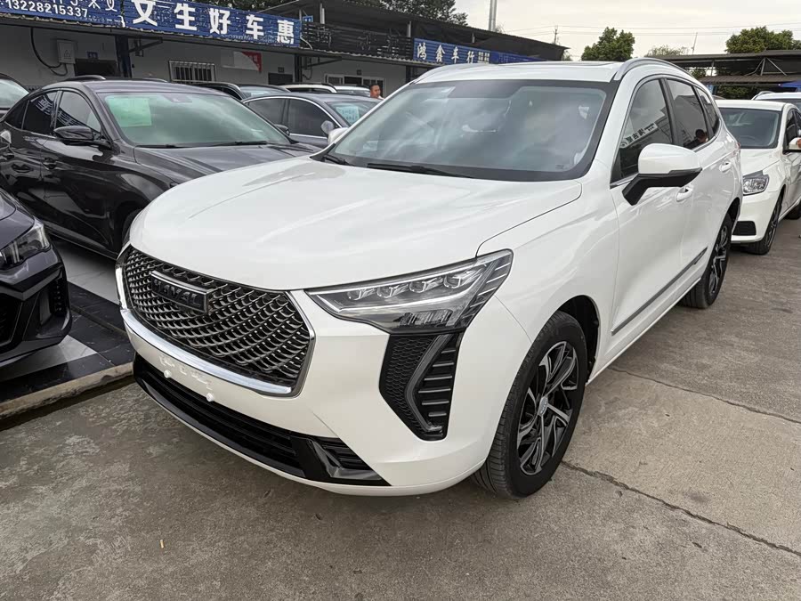 Haval Jolion 2020 car image #2