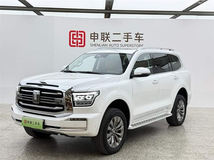 Tank 500 New Energy 2024 immagine di auto #2