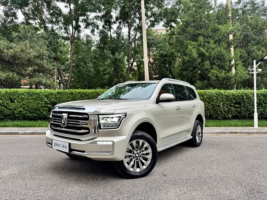 Tank 500 New Energy 2024 #2 Tank 500 New Energy 2024 car image #2