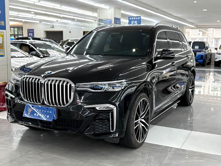 BMW X7 2020 car image #2