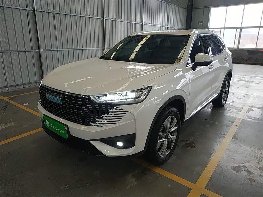 Haval H6 2022 car image #2