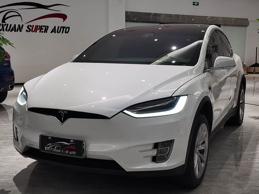 特斯拉 Model X 2020 汽车图片 #2