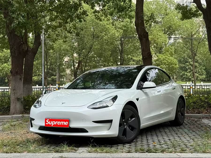 特斯拉 Model 3 2021 汽车图片 #2