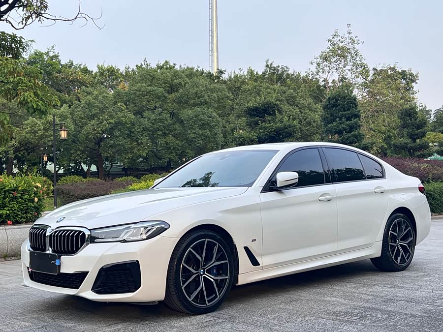 BMW 5 Series (Imported) 2021 #2 BMW 5 Series (Imported) 2021 immagine di auto #2