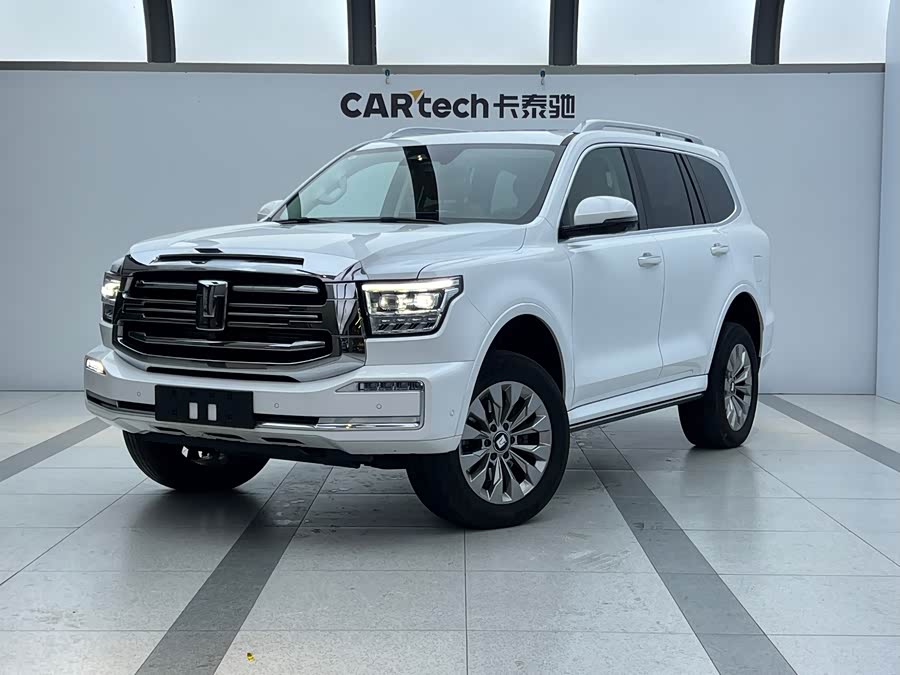 Tank 500 New Energy 2023 immagine di auto #2