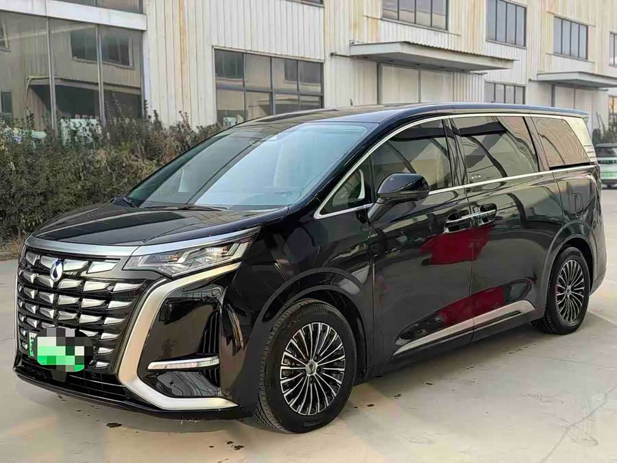 腾势 腾势D9 2023 汽车图片 #2