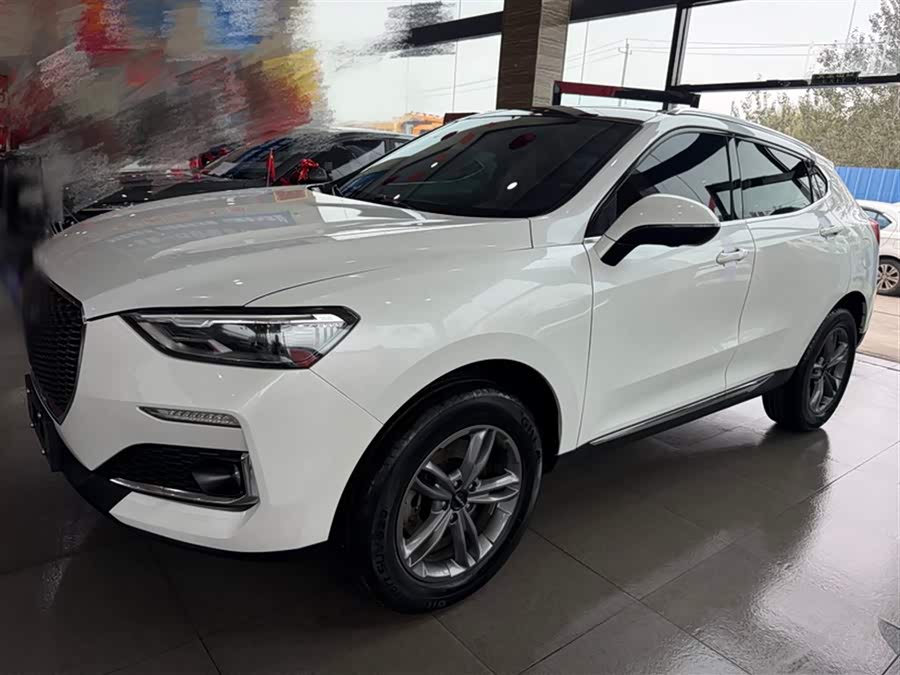 Haval F5 2018 imagem de carro #2