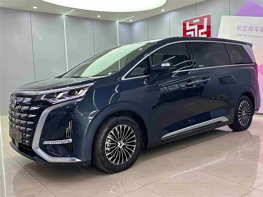 Denza D9 2023 imagem de carro #2