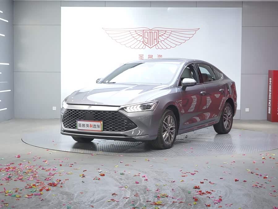 BYD Qin Plus 2024 immagine di auto #2