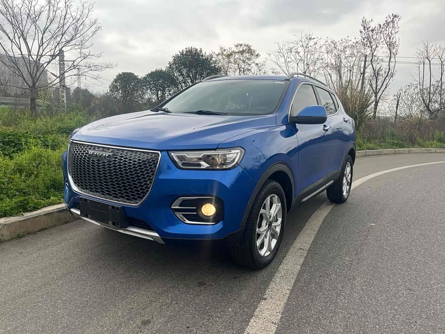 Haval H2s 2019 imagen de coche #2