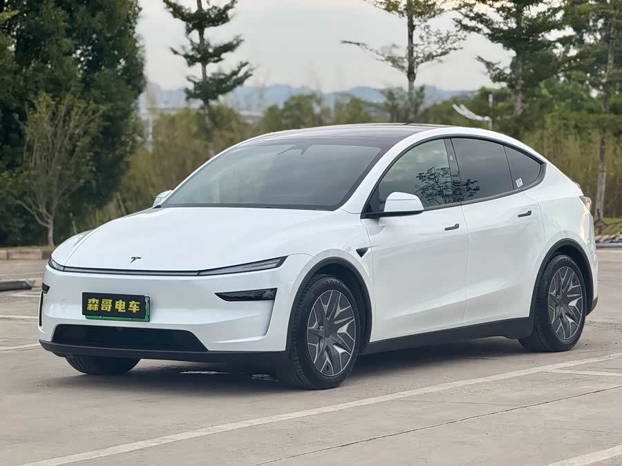 特斯拉 Model Y L 2025 汽车图片 #2