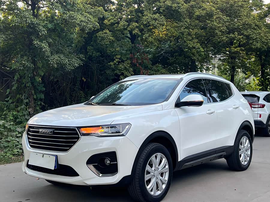 Haval H4 2019 #2 Haval H4 2019 car image #2