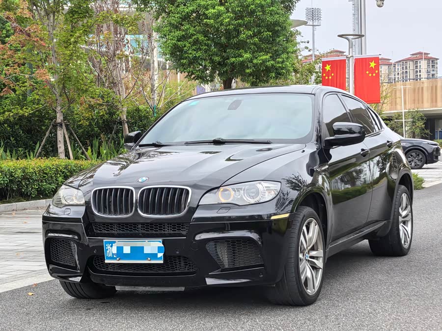 BMW X6 M 2011 car image #2