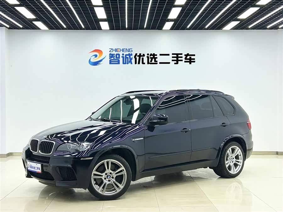 BMW X5 M 2010 #2 BMW X5 M 2010 car image #2