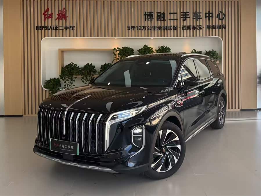 HongQi HS7 PHEV 2024 car image #2