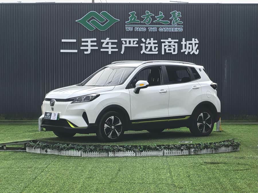 Changan E-Pro New Energy 2020 car image #2