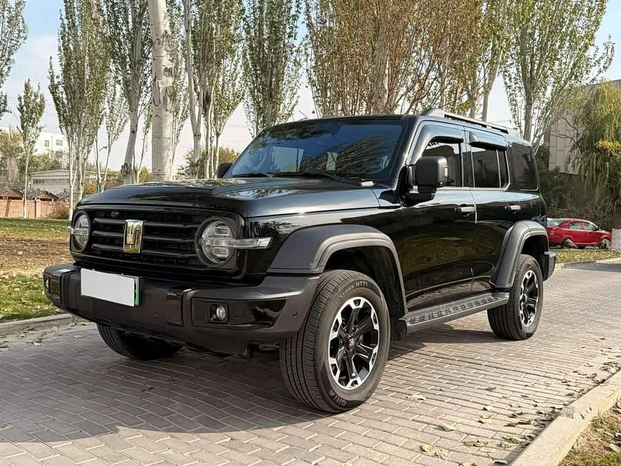 Tank 300 New Energy 2025 imagem de carro #2