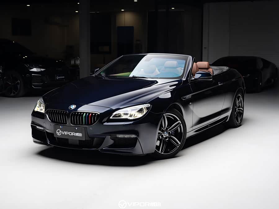 BMW 6 Series 2019 #2 BMW 6 Series 2019 car image #2