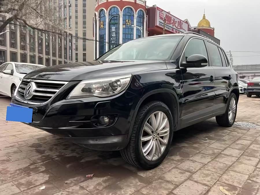 大众 Tiguan 2010 汽车图片 #2
