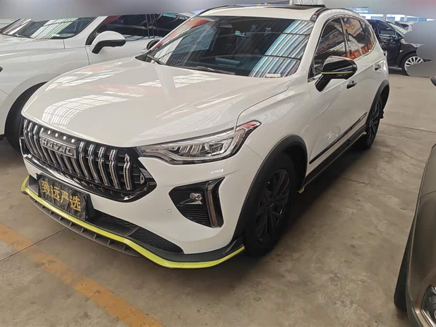 Haval Rabbit 2021 immagine di auto #2