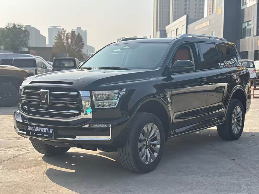 Tank 500 New Energy 2024 car image #2