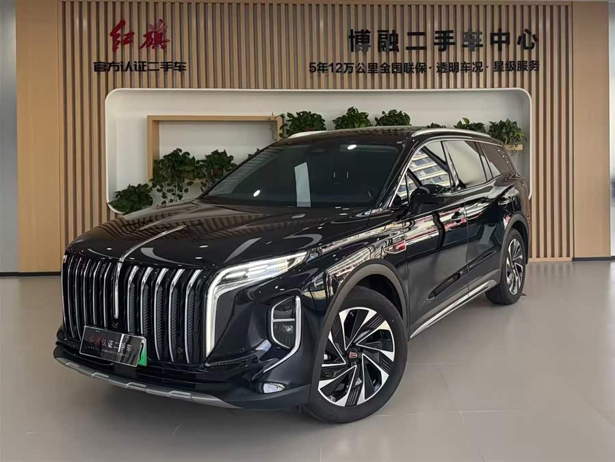HongQi HS7 PHEV 2024 صورة سيارة #2