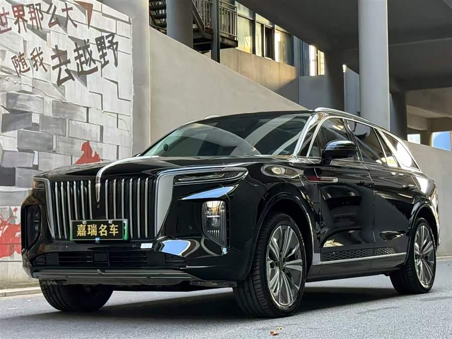 HongQi E-HS9 2023 immagine di auto #2