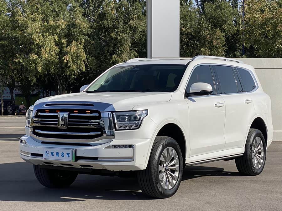 Tank 500 New Energy 2024 #2 Tank 500 New Energy 2024 immagine di auto #2