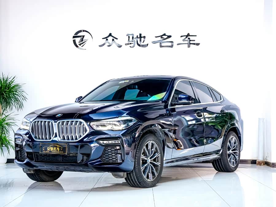 宝马 宝马X6 2020 汽车图片 #2