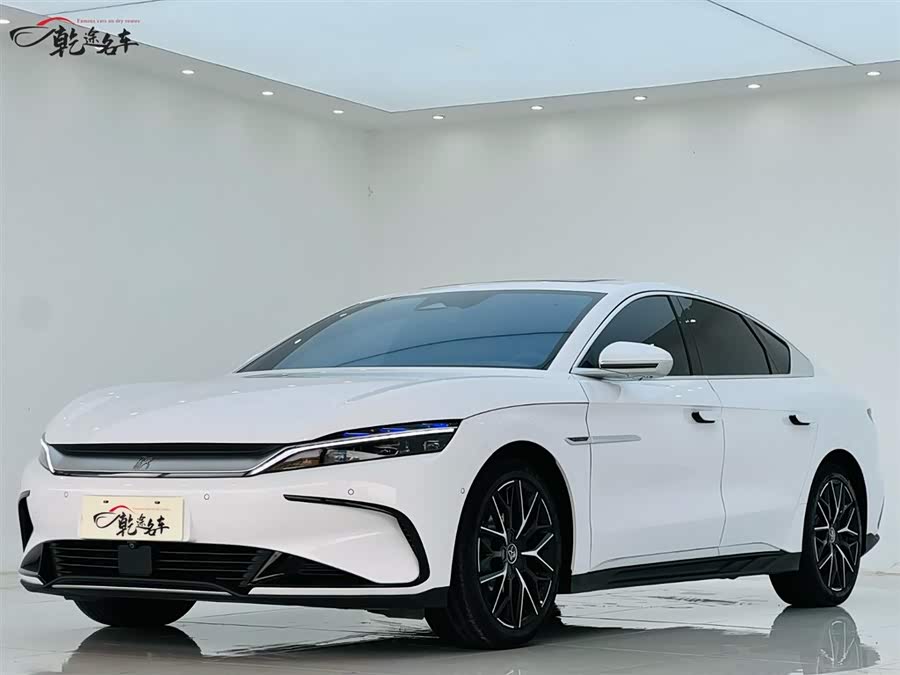 BYD Han 2022 immagine di auto #2