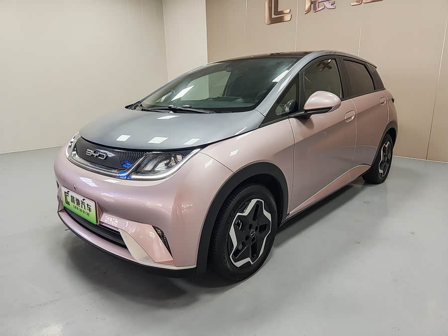 比亚迪 海豚 2022 汽车图片 #2