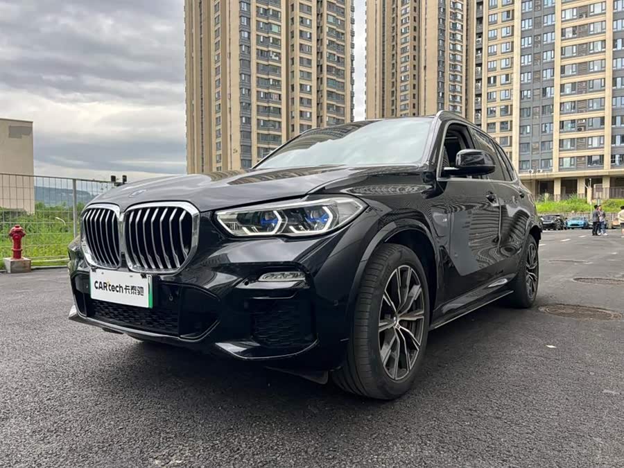 BMW X5 New Energy (Imported) 2021 car image #2